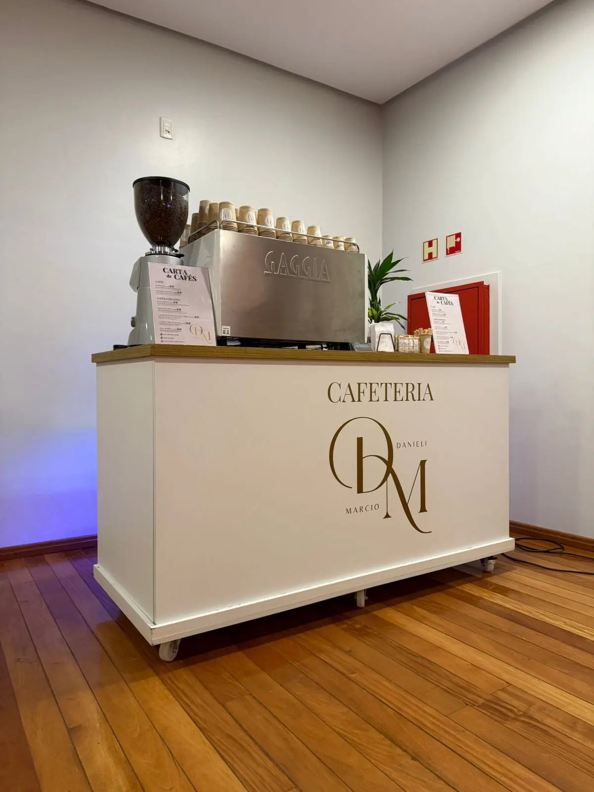 Casamento Danieli e Marcio